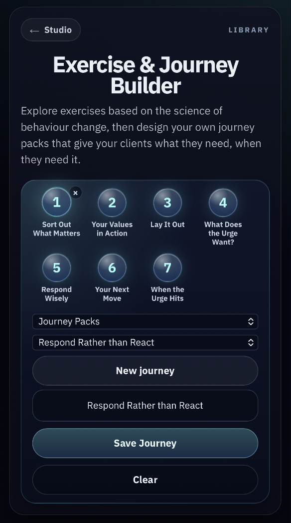 Survey Plus journey planner for placing activities and measures into a guided journey.